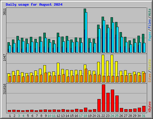 Daily usage for August 2024