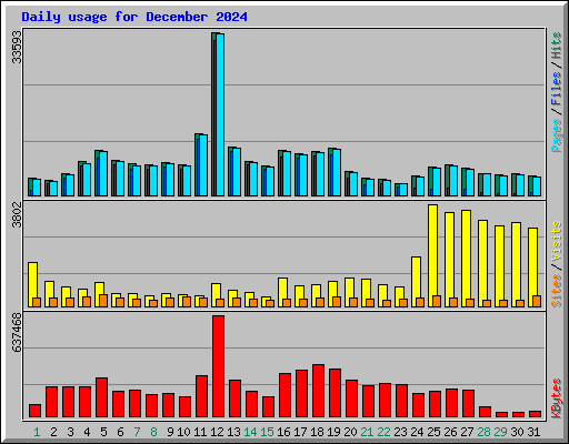 Daily usage for December 2024