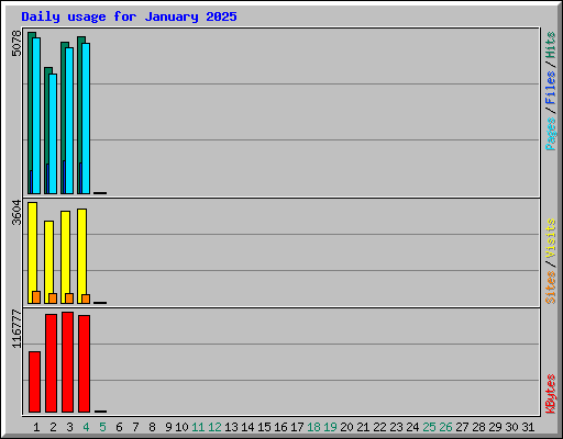 Daily usage for January 2025