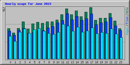 Hourly usage for June 2015