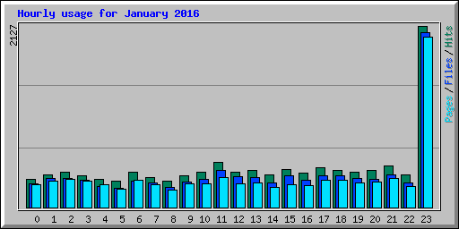 Hourly usage for January 2016