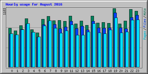 Hourly usage for August 2016
