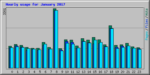 Hourly usage for January 2017