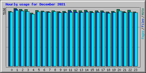 Hourly usage for December 2021