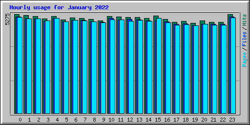 Hourly usage for January 2022