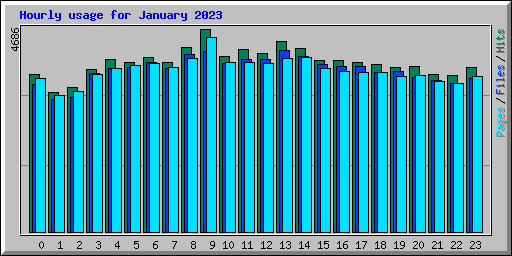 Hourly usage for January 2023