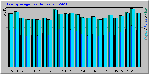 Hourly usage for November 2023