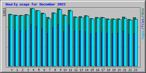 Hourly usage for December 2023