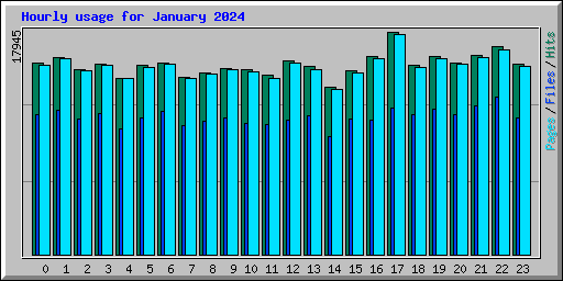 Hourly usage for January 2024