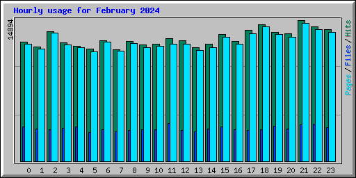 Hourly usage for February 2024