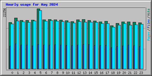 Hourly usage for May 2024