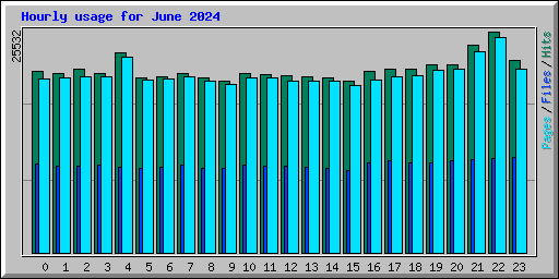 Hourly usage for June 2024