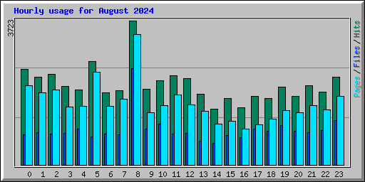 Hourly usage for August 2024