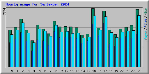 Hourly usage for September 2024