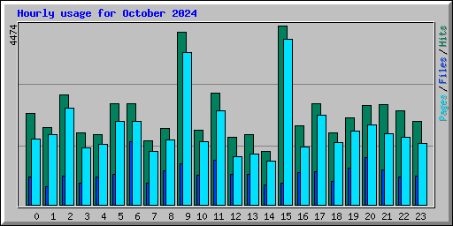 Hourly usage for October 2024