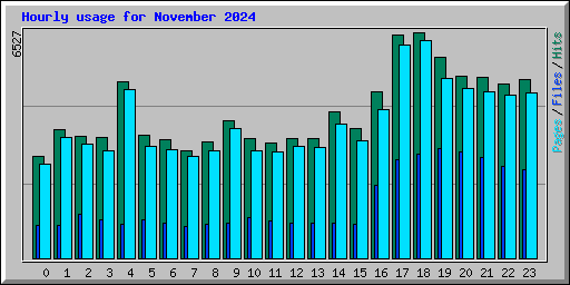 Hourly usage for November 2024