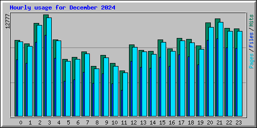 Hourly usage for December 2024