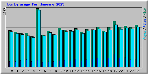 Hourly usage for January 2025