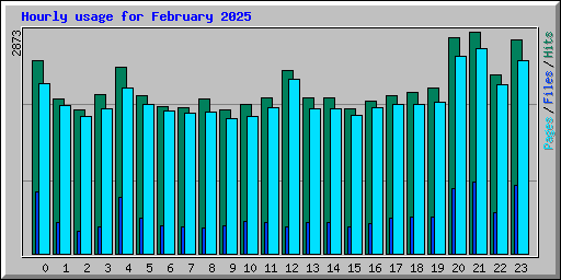 Hourly usage for February 2025