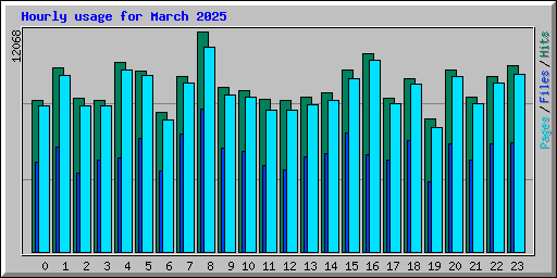 Hourly usage for March 2025