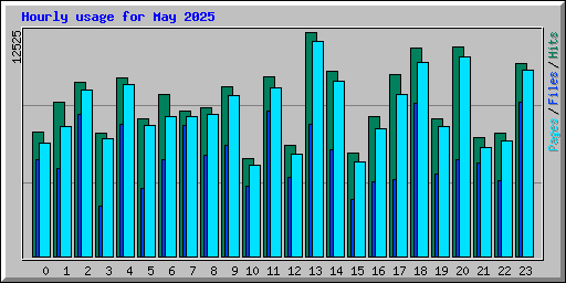 Hourly usage for May 2025
