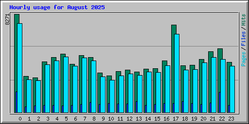 Hourly usage for August 2025